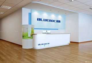 苏州染料脱色剂