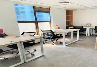 嘉兴酒店 盆栽菜基地报价