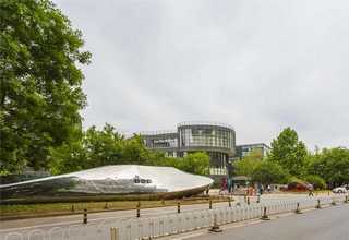 江苏前台黑绵土品种